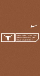 Longhorns 01.jpg