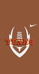 Longhorns 01.jpg