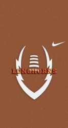 Longhorns 02.jpg