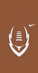 Longhorns.jpg