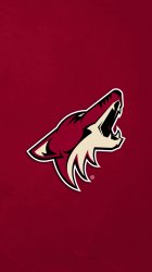 Coyotes 01.jpg