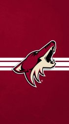 Coyotes 02.jpg