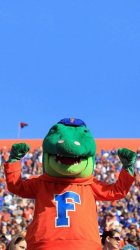 Alligator 01.jpg