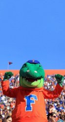Alligator 02.jpg