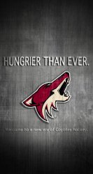 Coyotes 01.jpg