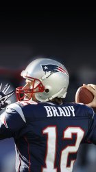 Brady.jpg