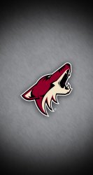 Coyotes 00.jpg