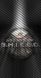 Shield 02.jpg