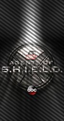 Shield 05.jpg