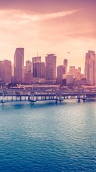 Miami Downtown Florida.jpg
