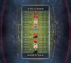Falcons 2.jpg