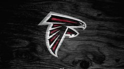 Falcons 3.jpg