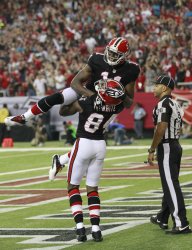 Falcons 4.jpg