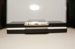 394C2529.JPG