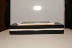 394C2530.JPG