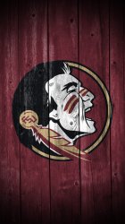 FSU Wood.jpg