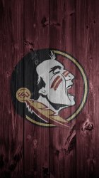 FSU Wood 02.jpg