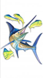 Fish 01.jpg