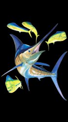 Fish 02.jpg