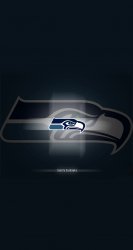 Seahawks 04.jpg