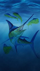 Fish 06.jpg