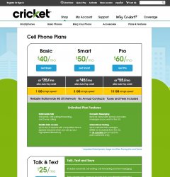 cricket.jpg