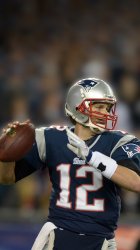 Brady 01.jpg