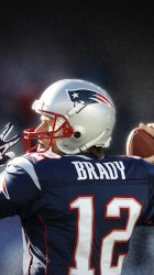 Brady 02.jpg