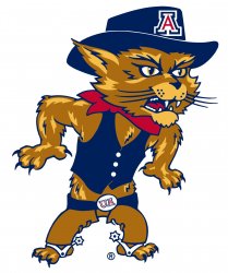 University-of-Arizona-Wilbur-Mark-Logo.jpg