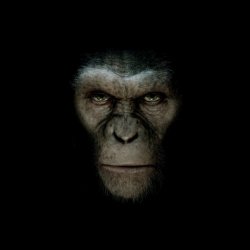 Apes iPad.jpg