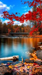 Fall Scene.jpg