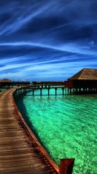 Tropical Water.jpg