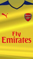 Arsenal FC yellow collar.jpg