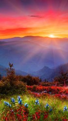 Sunset.jpg
