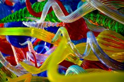 Chihuly 3 copy.jpg