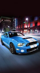 Shelby GT500 01.jpg