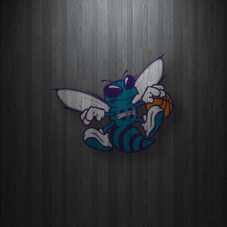 Hornets 03.png