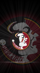 Seminoles plus.png