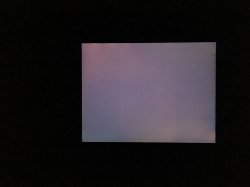 IMG_0351.JPG