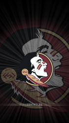Seminoles plus 02.png