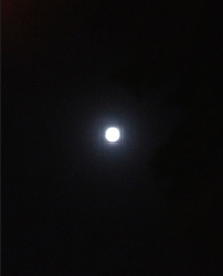 The Moon.png