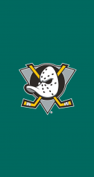 Ducks 05.png