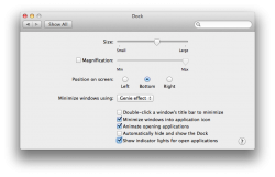 Dock pane of System Preferences in Mavericks.png