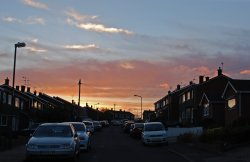 Sunset on our street.JPG