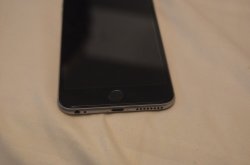 DSC_1495.jpeg