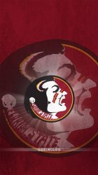 Seminoles 01.jpg