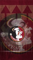 Seminoles 02.jpg