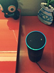 echo3.jpg