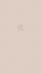Soft Pink.png