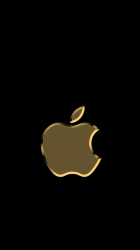 5.png